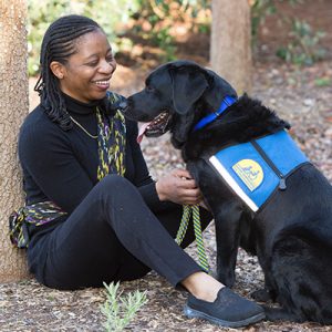 In Honor of Veterans Day – A Salute to Veterans and the Service Dogs Who Help Them