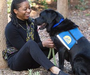 In Honor of Veterans Day – A Salute to Veterans and the Service Dogs Who Help Them