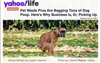 ScooperDude Pet Waste Removal — Interviewed for Yahoo News! Article