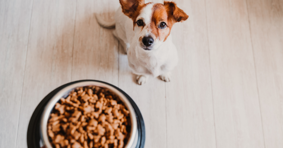 Cost_of_Dog_Food_bimpq2
