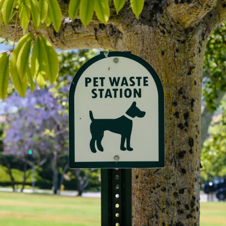 How to Reduce Complaints from Dog Poop with Pet Waste Stations