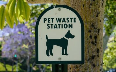 How to Reduce Complaints from Dog Poop with Pet Waste Stations