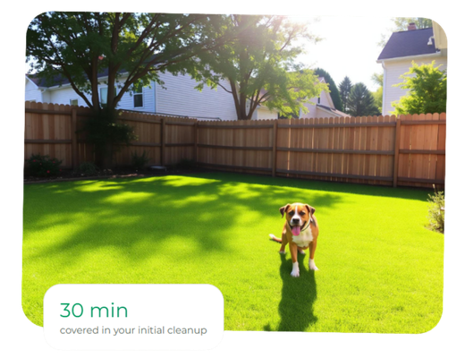 Dog standing on a clean, spacious fenced backyard lawn